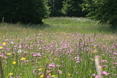 Killikus&reg; Fotographie